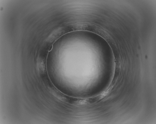 X0000071380086200606261424