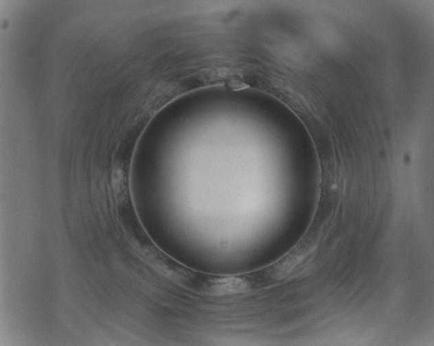 X0000071380087200606261424