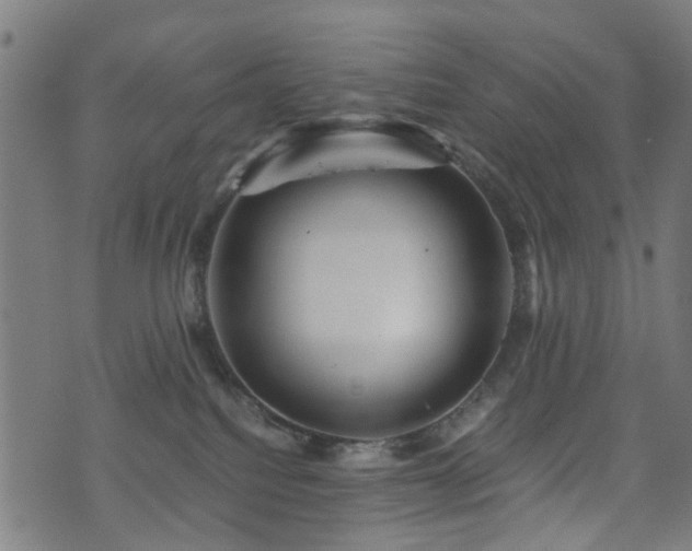 X0000071380088200606261424