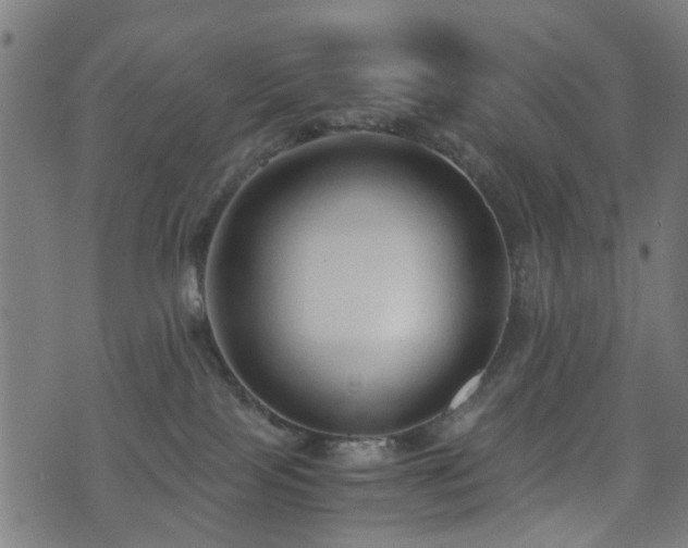 X0000071380089200606261424