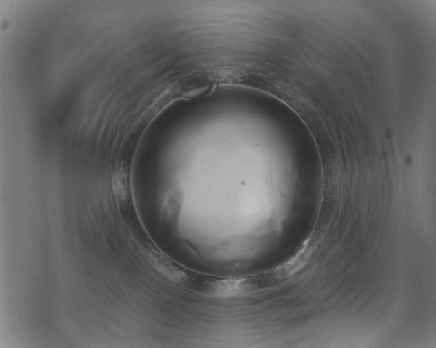 X0000071380090200606261424