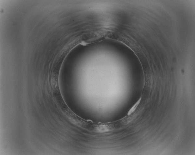 X0000071380091200606261424