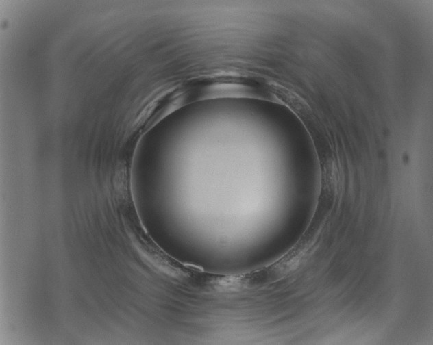 X0000071380092200606261424