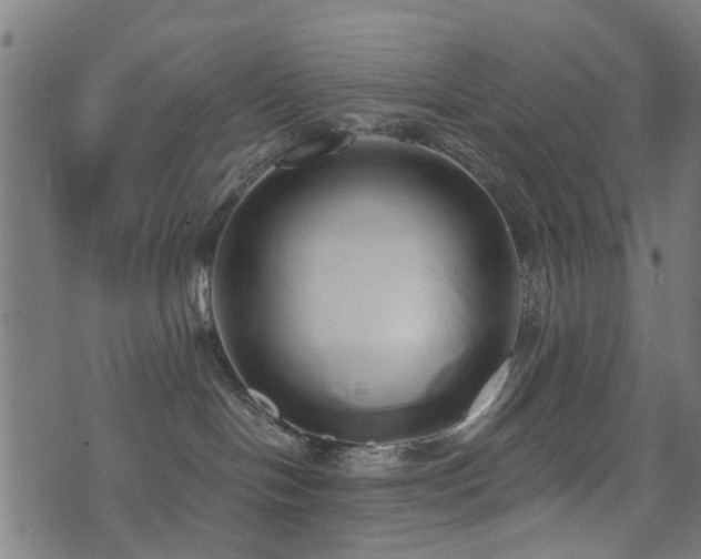 X0000071380094200606261424