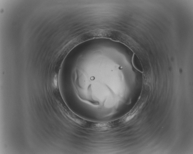 X0000071380095200606261424