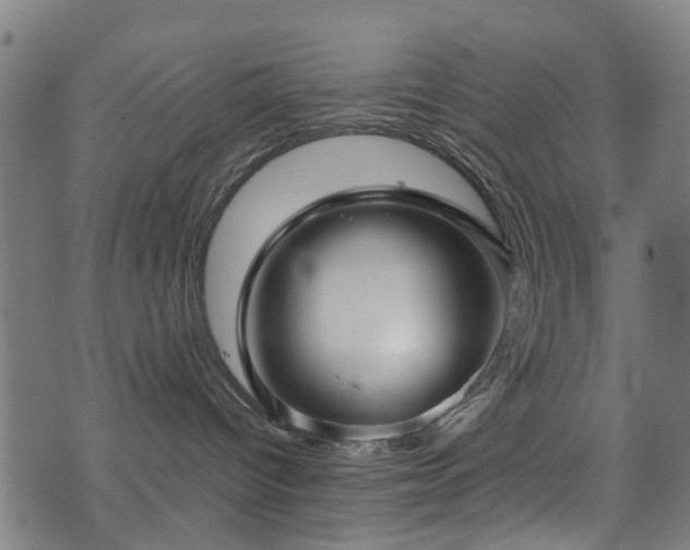 X0000071380096200606261424