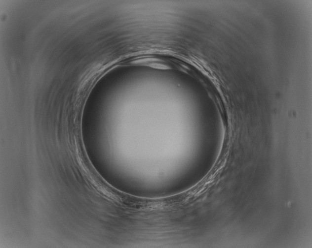 X0000071380097200606261423