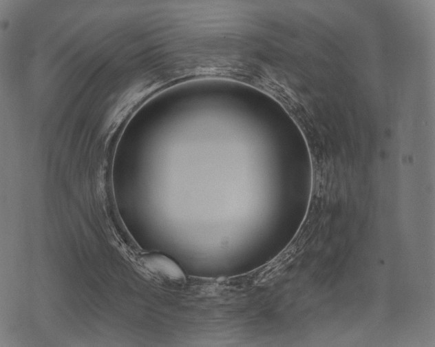 X0000071380098200606261423