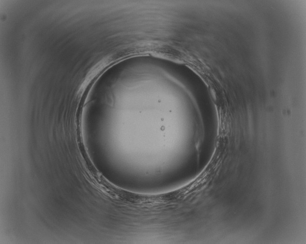 X0000071380099200606261423