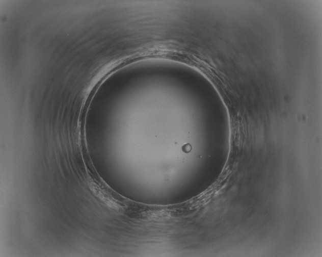 X0000071380100200606261423