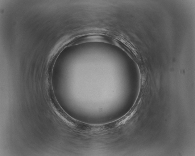 X0000071380101200606261423