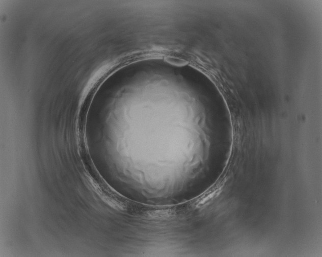 X0000071380102200606261423