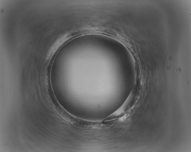 X0000071380103200606261423