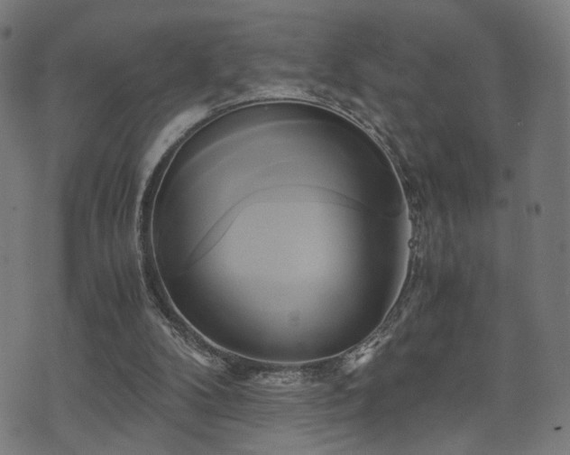 X0000071380104200606261423