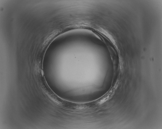 X0000071380105200606261423