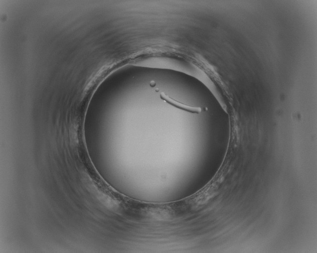 X0000071380106200606261423