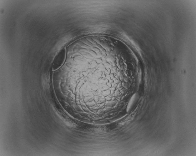 X0000071380107200606261423