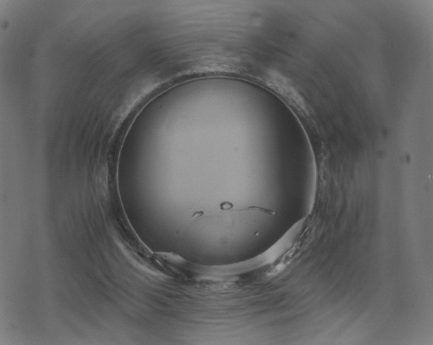 X0000071380108200606261423