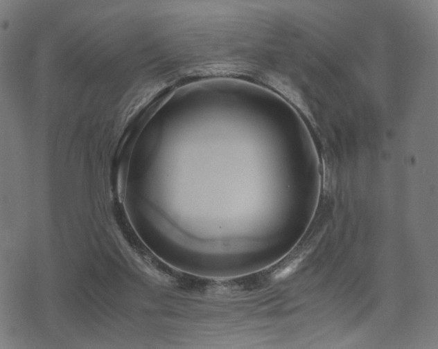 X0000071380109200606261423