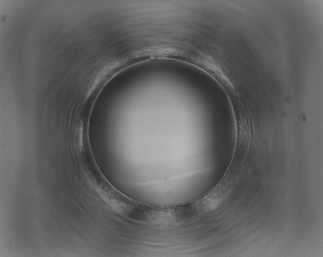 X0000071380110200606261423