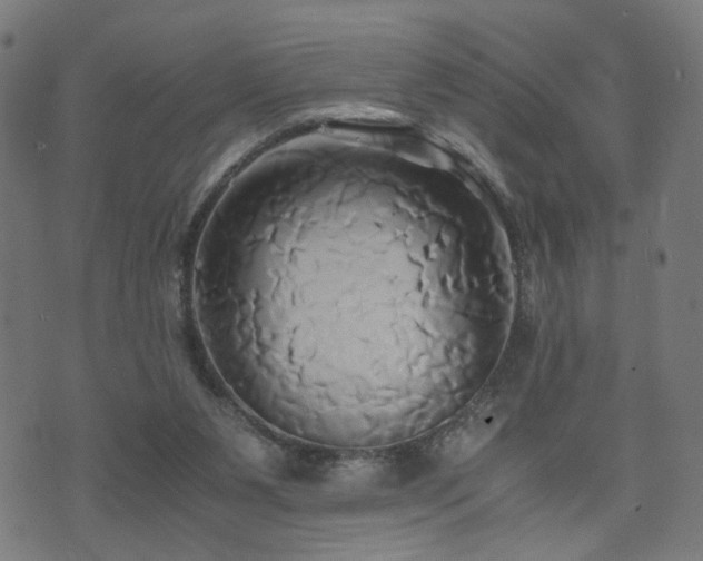 X0000071380111200606261423