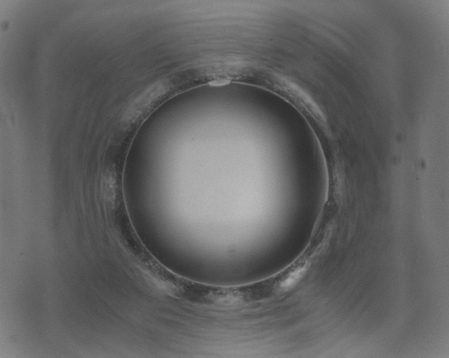 X0000071380113200606261423