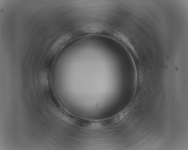 X0000071380114200606261423