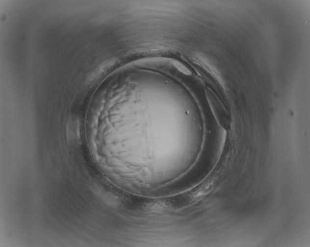 X0000071380115200606261423