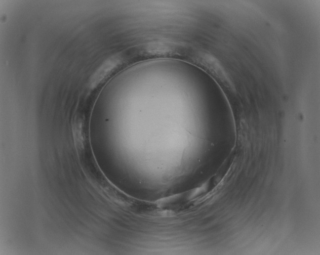 X0000071380116200606261423