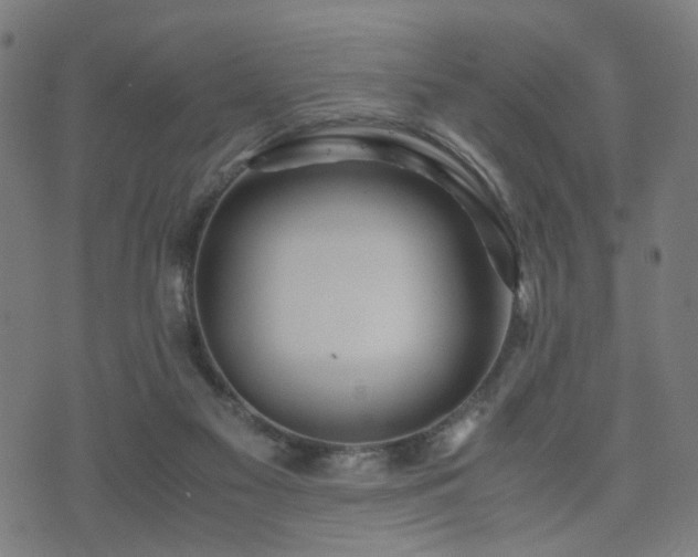 X0000071380117200606261423