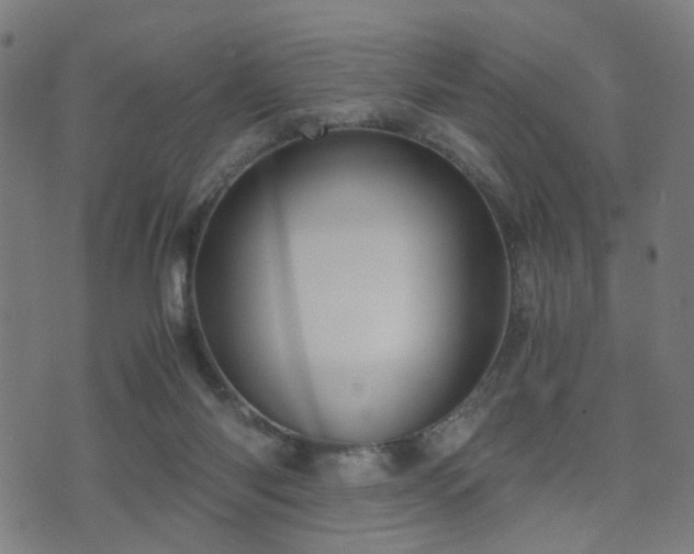 X0000071380118200606261423