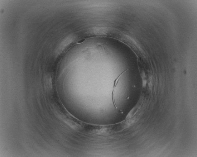 X0000071380120200606261423