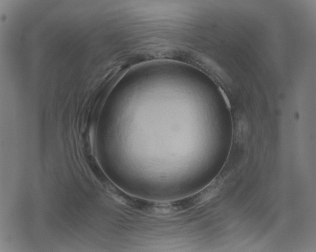 X0000071380121200606261423