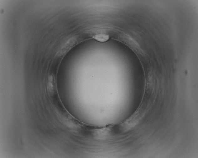 X0000071380122200606261423