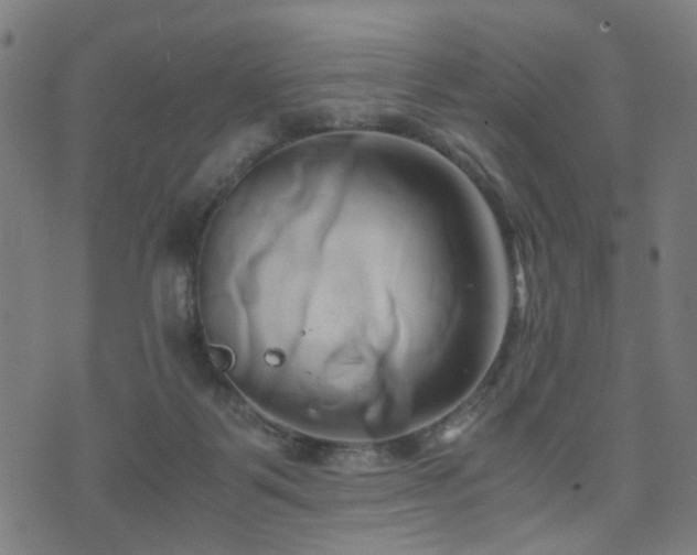 X0000071380123200606261423