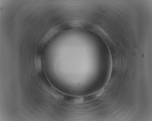 X0000071380124200606261423