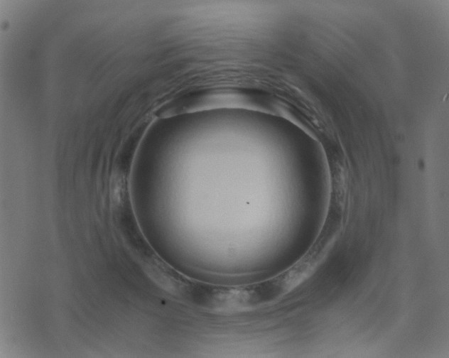 X0000071380125200606261423