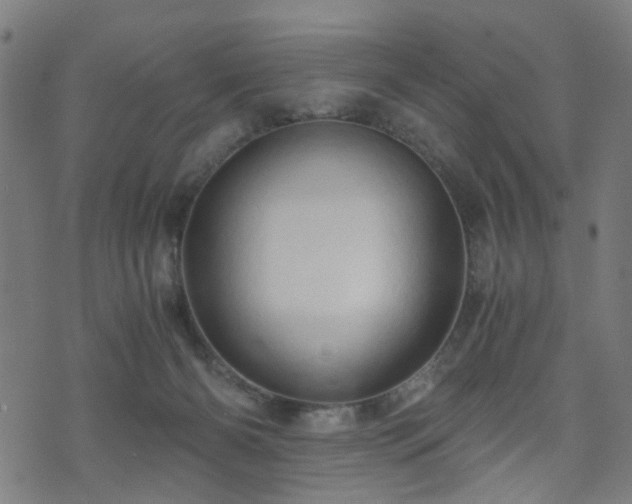 X0000071380126200606261423