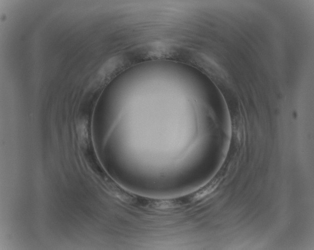 X0000071380127200606261423