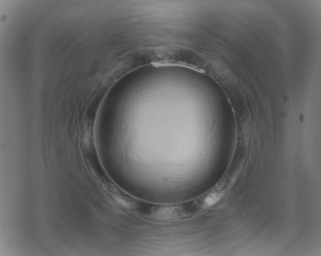 X0000071380129200606261423