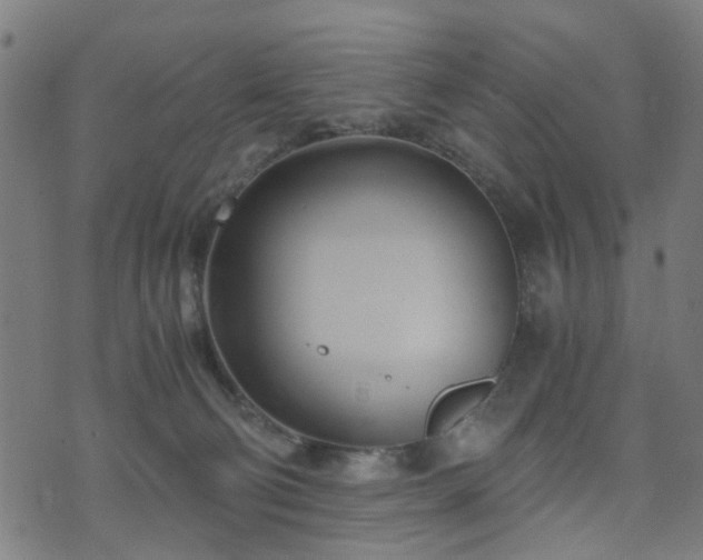 X0000071380130200606261423