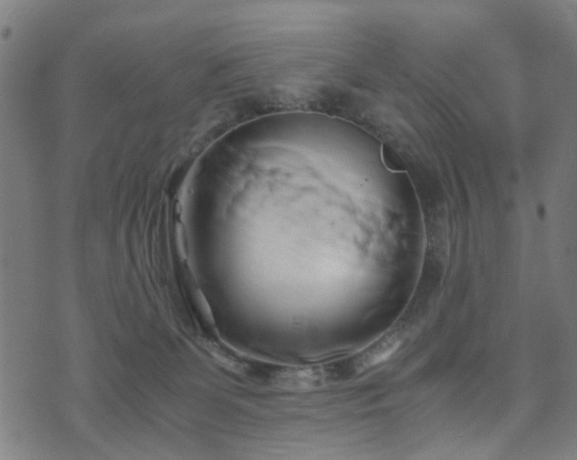 X0000071380131200606261423