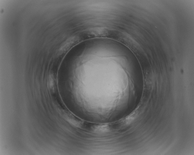 X0000071380132200606261423