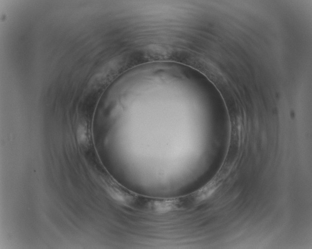 X0000071380134200606261423