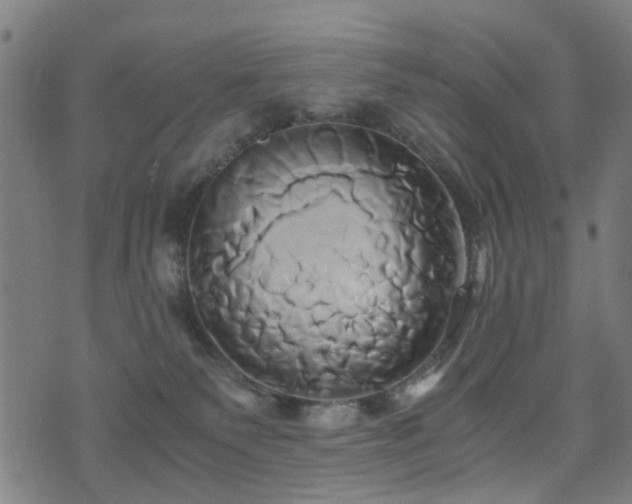 X0000071380135200606261423