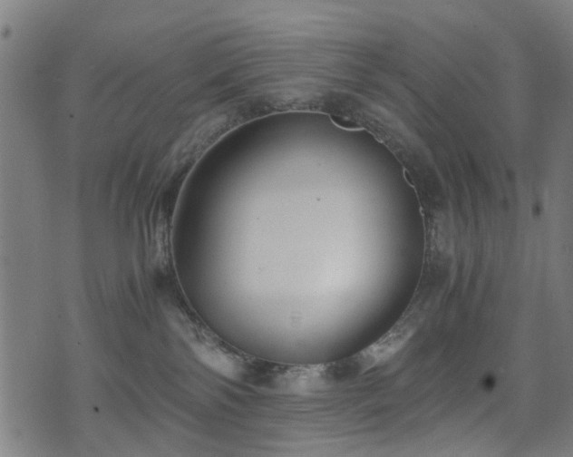 X0000071380138200606261423