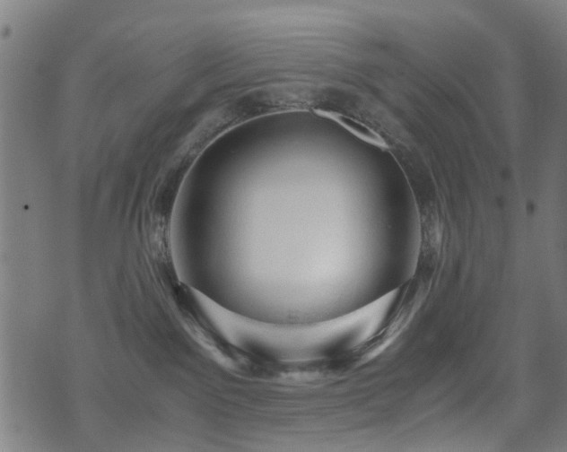 X0000071380141200606261423