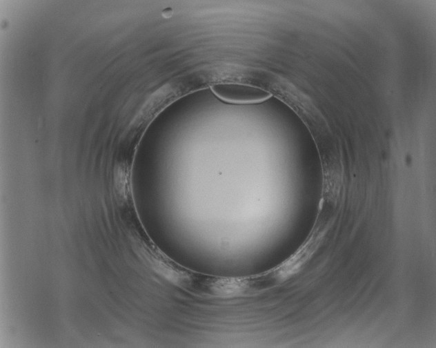 X0000071380142200606261423