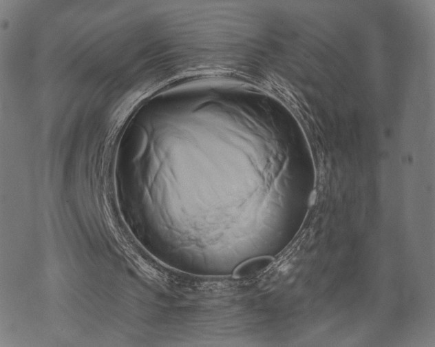 X0000071380145200606261422