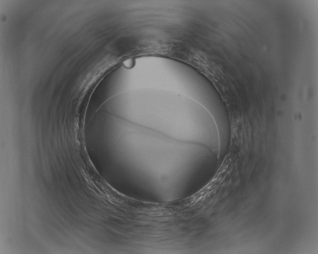 X0000071380146200606261422